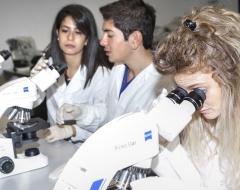 Dottorati di ricerca XXXIV ciclo