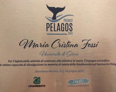 Premio Pelagos 2019 Premio Pelagos 2019