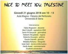 Nice to Meet You, Palestine Nice to Meet You, Palestine