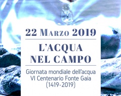 L'acqua nel Campo L'acqua nel Campo