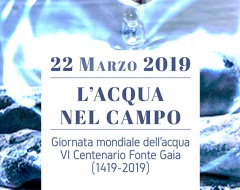 L'acqua nel Campo 