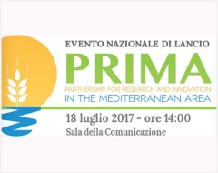 banner PRIMA