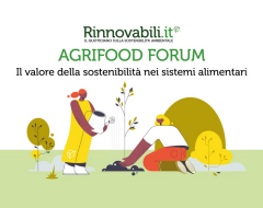 Agrifood Forum Agrifood Forum