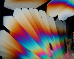 Mostra fotografica "Cristalli da bere"