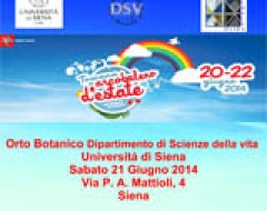 locandina arcobaleno d'estate 2014