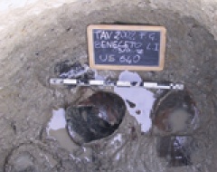 Bronze Age Italian Meeting