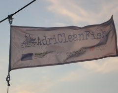 Evento finale del progetto "AdriCleanFish"