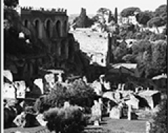 progetto "Senza barriere. Percorsi al Foro romano"