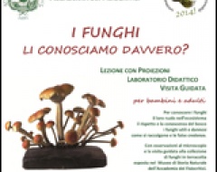 locandina "I funghi li conosciamo davvero?"