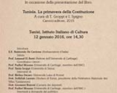 seminario costituzione tunisia