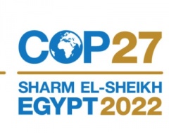 Il prof. Simone Borghesi parteciperà a due side-events della COP 27 Il prof. Simone Borghesi parteciperà a due side-events della COP 27