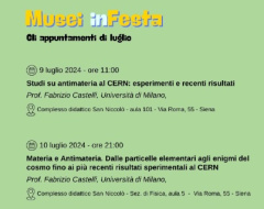 Musei in Festa Musei in Festa