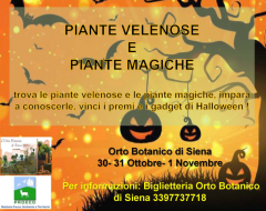 "Piante velenose e piante magiche" "Piante velenose e piante magiche"