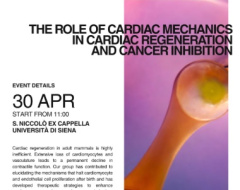 Meccanica cardiaca: rigenerazione del cuore e inibizione del cancro