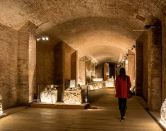 "Porta un amico al Museo!" e "Notti dell'Archeologia"