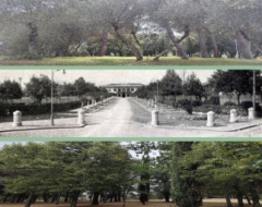 Alle Logge del Grano di Arezzo la mostra “Costruire ponti"