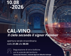 Cal-vino. Il cielo secondo il signor Palomar