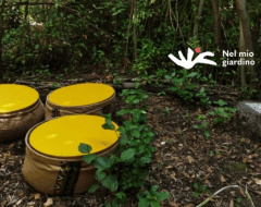 Un'esplorazione nel Giardino Nascosto Un'esplorazione nel Giardino Nascosto