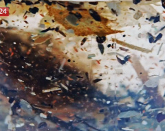 video "Odissea Plastica" video "Odissea Plastica"