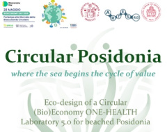 “Il tesoro nascosto delle spiagge. Circular Posidonia e la nuova bioeconomia del Mediterraneo” “Il tesoro nascosto delle spiagge. Circular Posidonia e la nuova bioeconomia del Mediterraneo”
