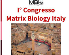MBItaly2026