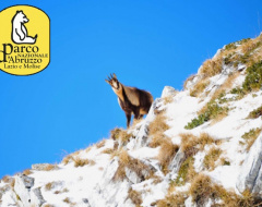 “Climatic changes and the fate of mountain herbivores” “Climatic changes and the fate of mountain herbivores”