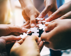 Percorso di formazione per la promozione dei diritti umani Percorso di formazione per la promozione dei diritti umani