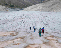Al via il progetto di citizen science “CollembolICE”
