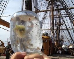 Fasi del campionamento a bordo della Vespucci