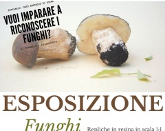 Museo botanico - Esposizione di funghi...! Museo botanico - Esposizione di funghi...!