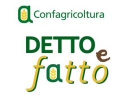 Incontro online “Fonti rinnovabili e agroenergie” Incontro online “Fonti rinnovabili e agroenergie”