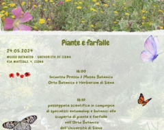 Musei in festa del SIMUS: "Piante e farfalle" Musei in festa del SIMUS: "Piante e farfalle"