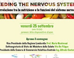 feeding the nervous system