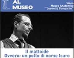 teatro al museo