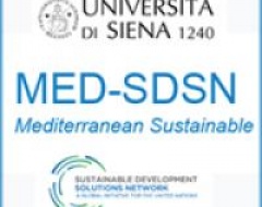 MED Solutions logo (draft)