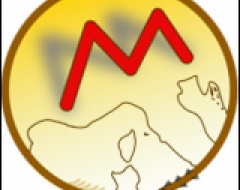 Logo Mesolife Conference