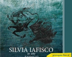 Presentazione della mostra "Transizione inversa, esercizi di diplomazia cromatica" di Silvia Iafisco
