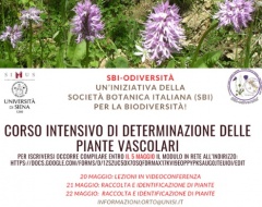 Corso intensivo di determinazione delle piante vascolari Corso intensivo di determinazione delle piante vascolari