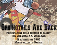 Presentazione Springtails