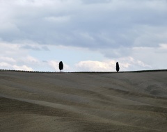 "Paesaggi rurali. Prospettive di ricerca per l'antropologia"