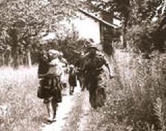 albicocche rosse thumb