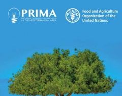 Workshop Prima-Fao