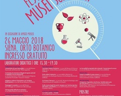 Festa dei musei scientifici - IX edizione