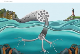 La nanocellulosa sempre più sicura per i nostri mari