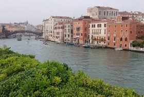 I licheni per il biomonitoraggio della qualità dell’aria negli spazi della Collezione Peggy Guggenheim a Venezia
