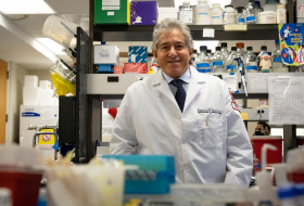 Su "Cancers" studio sul rischio di cancro coordinato dal prof. Giordano