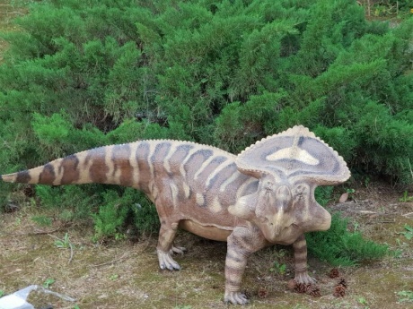 Jurassic Orto