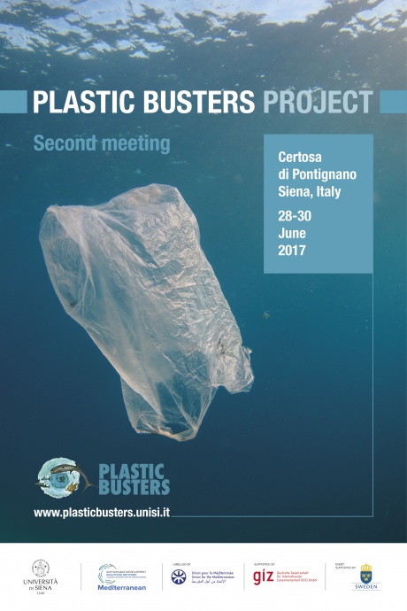 Plastic Busters Project - Second meeting