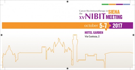 Nibit Meeting
