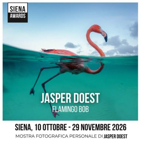 Siena Awards: due mostre fotografiche all'Accademia dei Fisiocritici Siena Awards: due mostre fotografiche all'Accademia dei Fisiocritici